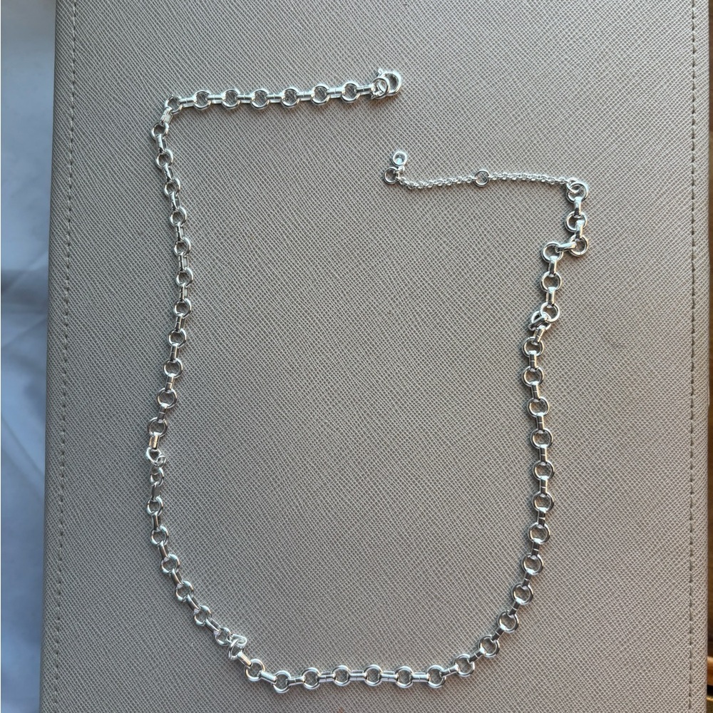 Roll Link Clean Silver Chain Necklace Nordstrom Brand - Picture 5 of 8
